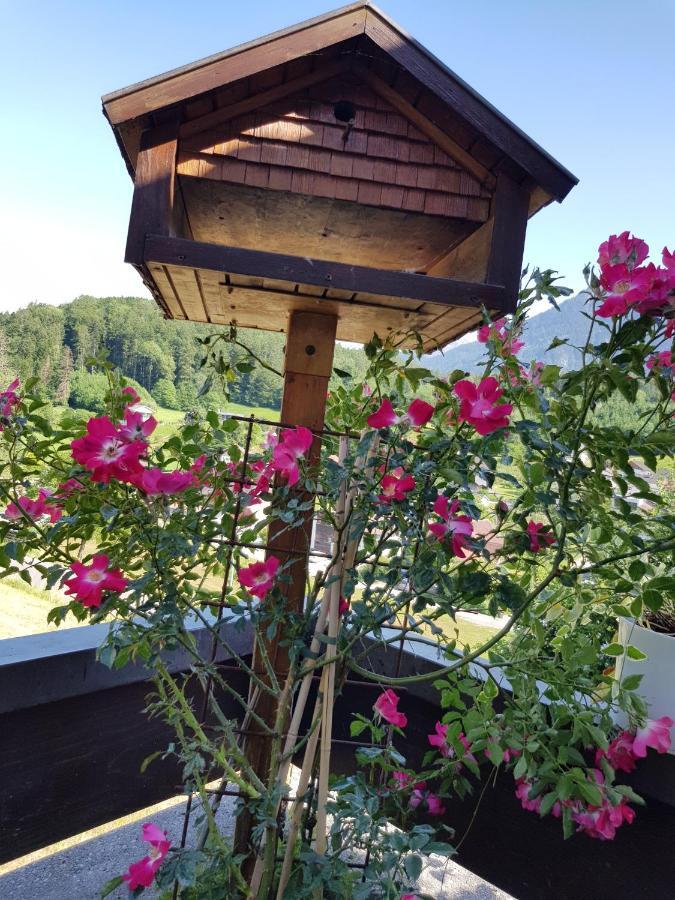 شقة Dreamlandranch Vorarlberg Schlins المظهر الخارجي الصورة